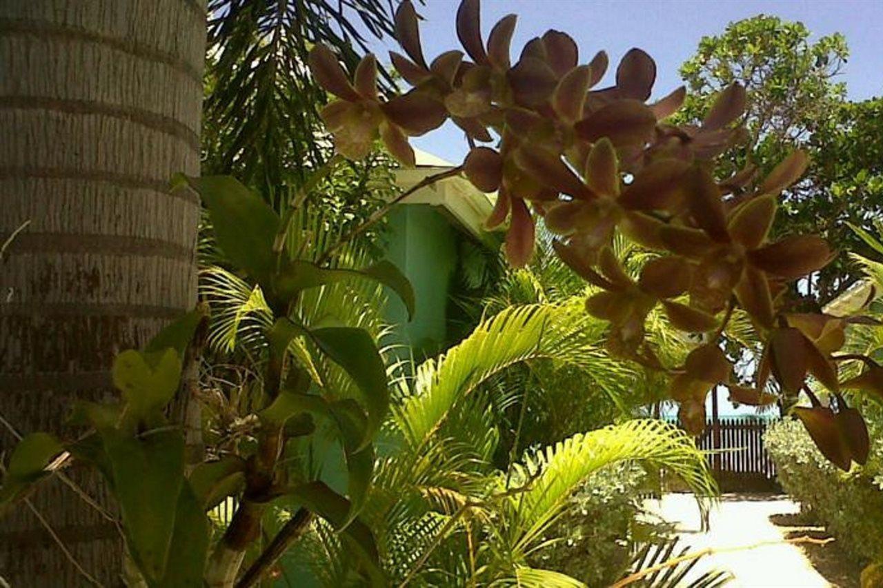 Buccaneer Beach Club Dickenson Bay Exteriér fotografie