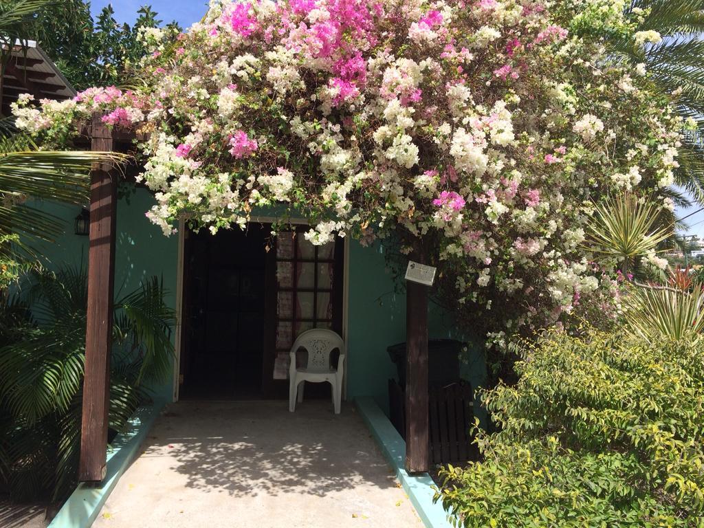 Buccaneer Beach Club Dickenson Bay Exteriér fotografie