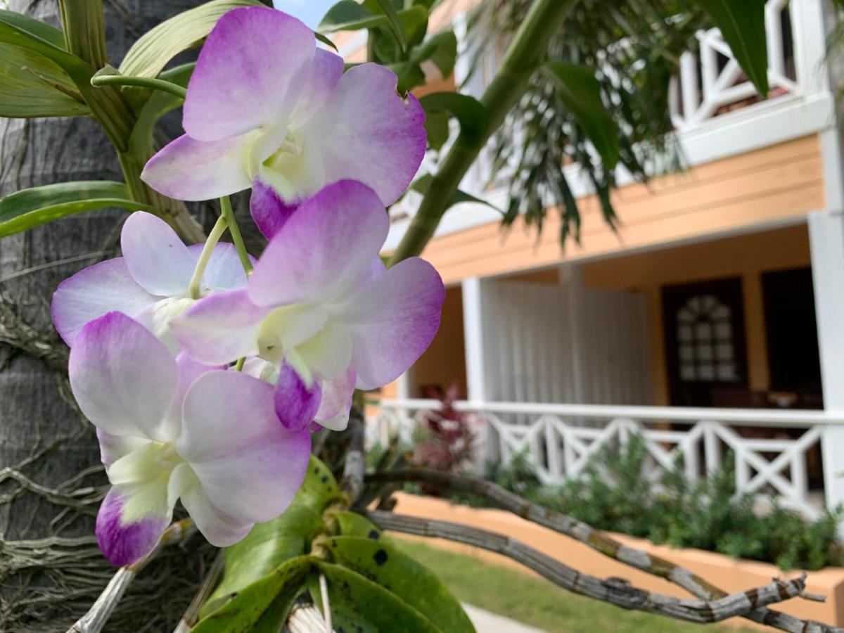Buccaneer Beach Club Dickenson Bay Exteriér fotografie